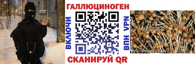 Псилоцибиновые грибы ЛСД  Купить закладки  Шуя 